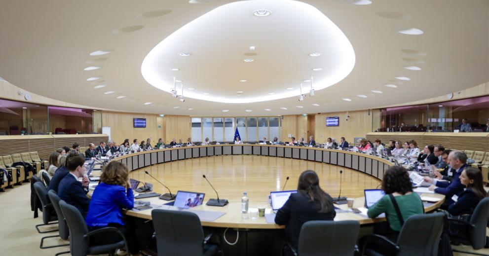 European Child Guarantee Coordinators Meeting in a large meeting room.